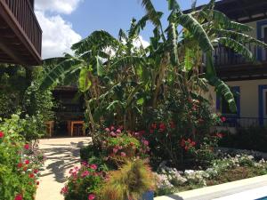 Kép Paradise Garden Apartments szállásáról Gümüşlükben a galériában