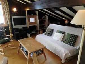 a living room with a couch and a tv at Central Location Cozy 3 BR Flat in Gstaad in Gstaad