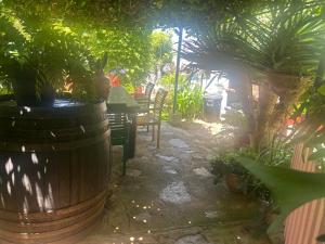 Vonkajšia záhrada v ubytovaní CASA DIEGO