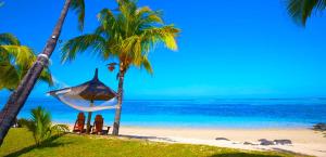 a hammock hanging from two palm trees on a beach at La Kaza Famillia in Grand Gaube