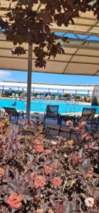 a pool with chairs and an umbrella and flowers at Студия в ЦО Радуга Вест in Koshkolʼ