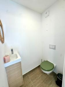 Un baño con un inodoro verde y un lavabo. en Duplex en résidence, en Propriano 12 fotos más