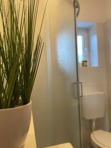 a bathroom with a toilet and a potted plant at Apartments Goldie in Senj