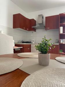 a kitchen with a table with a potted plant on it at Apartments Goldie in Senj