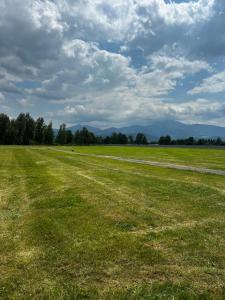 un prato erboso con montagne sullo sfondo di Tinyhome Spielberg -Container Lodge a Flatschach