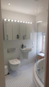 a white bathroom with a toilet and a sink at Little Juniper Lodge in Edinburgh