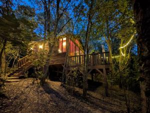 a tree house in the woods at night at Cabane d'Oniria in Palaja