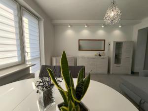 a living room with a white table and a potted plant at apartament przy cukierni in Knurów