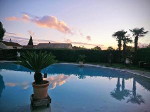 a potted plant sitting next to a swimming pool at Domaine du lagon bleu in Comps