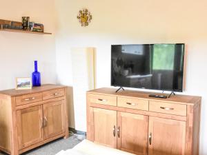 salon z dużym telewizorem na drewnianej komodzie w obiekcie Apartment Studio Esche 1 by Interhome w mieście Ellmau