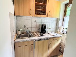 mała kuchnia ze zlewem i kuchenką w obiekcie Apartment Studio Esche 3 by Interhome w mieście Ellmau