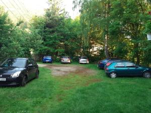 Ảnh trong thư viện ảnh của Antonia ở Băile Tuşnad +26 ảnh