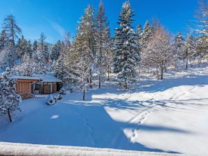 Το Apartment Waldblick by Interhome τον χειμώνα