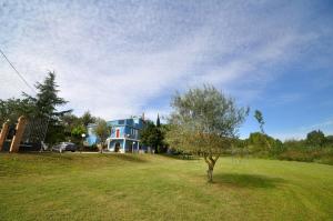 een boom in een veld voor een huis bij La Casa Blu in Mirabella Imbaccari