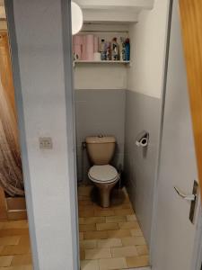 a bathroom with a toilet in a small room at Le Nid Des Marmottes in Cauterets +7 photos