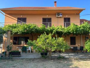a house with a bunch of trees in front of it at Apartment Put Vidaka in Poličnik