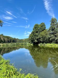 vistas a un río con árboles en el fondo en Moderne gemütliche Wohnung - zentral und naturnah, en Rimbach
