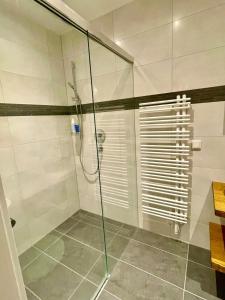 una ducha con puerta de cristal en un baño en Moderne gemütliche Wohnung - zentral und naturnah, en Rimbach