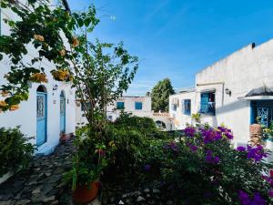 Zahrada ubytování Amanecer Santorini