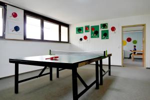 Stolní tenis v ubytování Hoferpeterhof nebo okolí