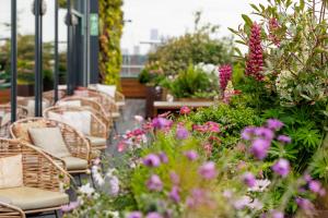 Zahrada ubytování Treehouse Hotel London