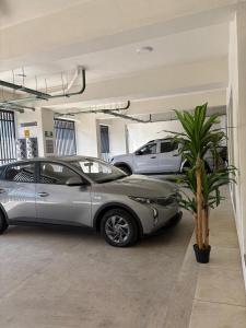 two cars parked in a garage with a palm tree at Hotel and Suites Hortensias in Tapachula