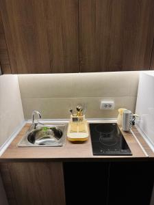 a kitchen counter with a sink and a stove at ANKA APARTMENT in Štip