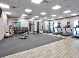 Fitness centrum a/nebo fitness zařízení v ubytování Hampton Inn & Suites Dalhart