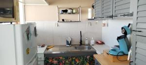 Dapur atau dapur kecil di Chalet sur pilotis en bord de plage
