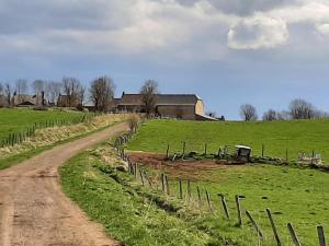 a dirt road in a field with a farm at Cantal maison individuelle 