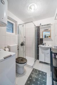 ein Badezimmer mit Dusche, Toilette und Waschbecken in der Unterkunft Holiday Home Sarbunara in Milna + 37 Fotos