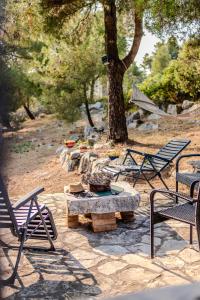 Ein Garten an der Unterkunft Holiday Home Sarbunara