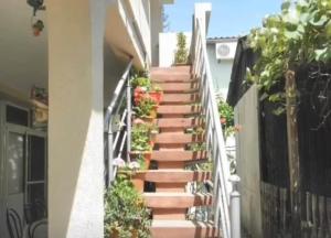 un conjunto de escaleras en una casa con plantas en Apartments Masa, en Sutomore