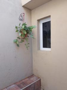 Φωτογραφία από το άλμπουμ του La casita σε Posadas