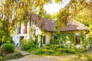 a white house with ivy growing on it at Bieszczadzkie Wytchnienie in Wetlina