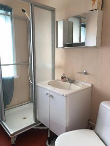 a bathroom with a sink and a shower and a toilet at Andsnes Velhus in Loppa