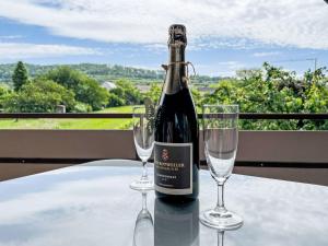 BischoffingenにあるApartment Weinbergblick by Interhomeのワイン1本(グラス2杯付)