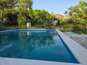 a swimming pool with blue water in a yard at Shiraz in Agarak
