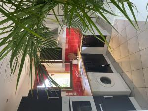 ein Badezimmer mit Waschmaschine und Palme in der Unterkunft Holiday Home Les Coquelicots by Interhome in Regnéville-sur-Mer