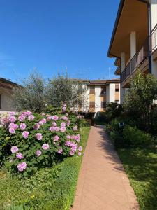 a garden of pink roses next to a building at Green Park House in Valeggio sul Mincio