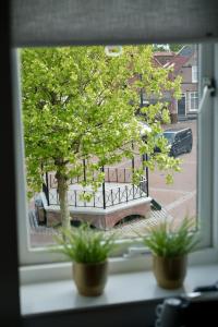 En have udenfor Studio Zen Kitchen & Boutique Hotel-3 by Interhome