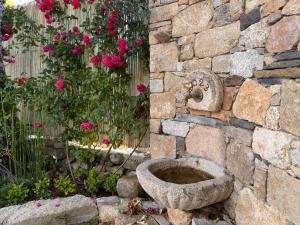 Κήπος έξω από το Retiro da Vila