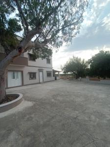 Φωτογραφία από το άλμπουμ του Villa Avia σε Scogli di Apani