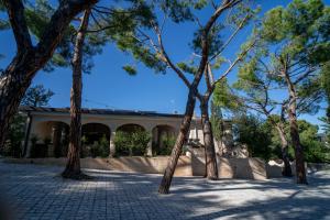 a group of trees in front of a building at Lamapulia in Torre a Mare