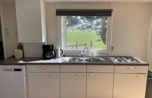 a kitchen with a sink and a window at Chalet de Sudhoek in Vrouwenparochie