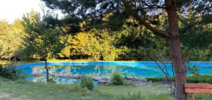 a painting of a pond with blue water at Dworek Na Uboczu in Sulicice
