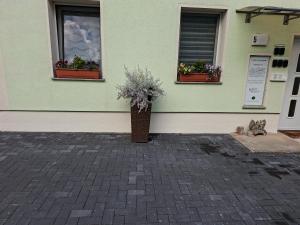 Fotografie z fotogalerie ubytování Ferienwohnung Classic v destinaci Radeberg