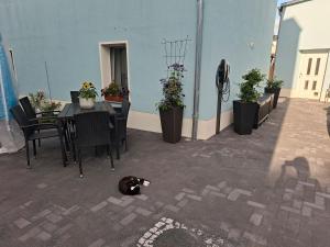 Patio nebo venkovní prostory v ubytování Ferienwohnung Classic