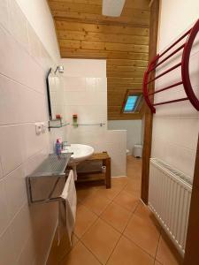 łazienka z umywalką i lustrem w obiekcie Apartment in Pec pod Snezkou 2098 w mieście Velká Úpa