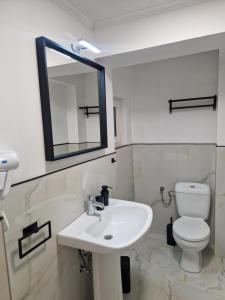 a bathroom with a sink and a toilet and a mirror at Vila Andora in Eforie Nord +40 photos